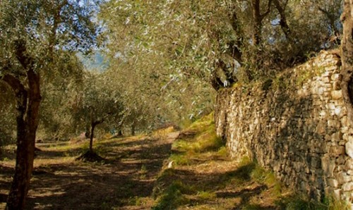 Esperienza Contadina della Riviera