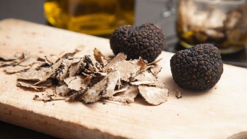 Cerca del Tartufo nel Monferrato