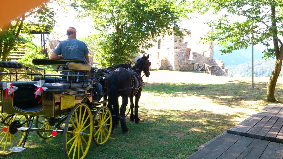 Giro in Carrozza