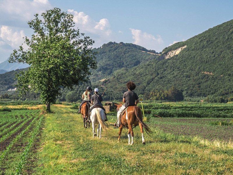 Horse Riding in Valle Pesio