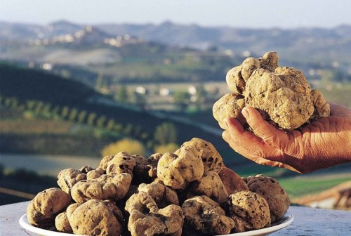 Monferrato Truffle Experience Weekend