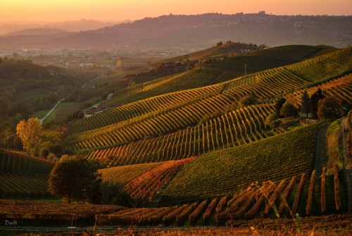 Tour UNESCO delle Langhe