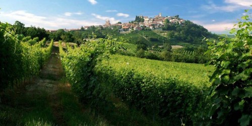 Monviso Wine Tour